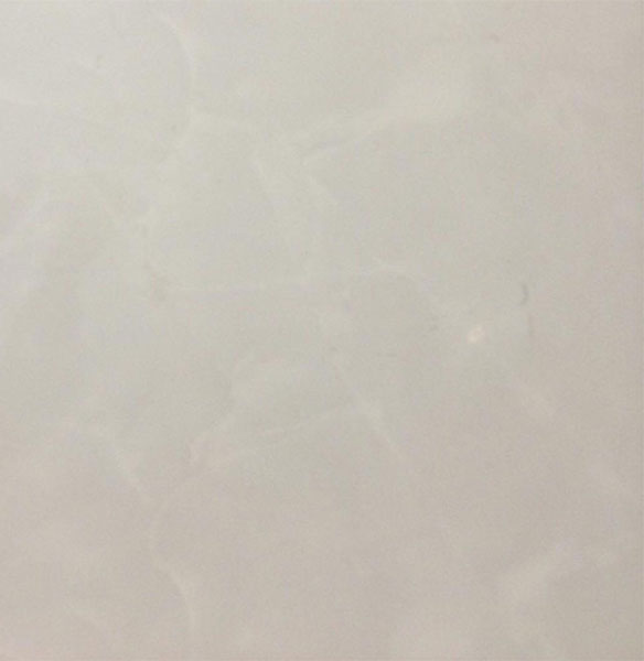 سرامیک پردیس طرح آرشام طوسی 50*50 کد 5510