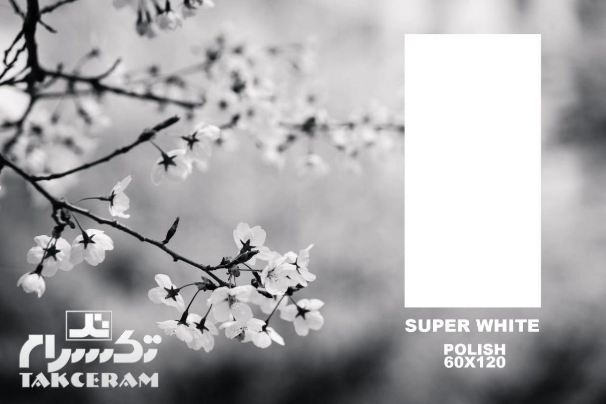 پرسلان سوپروایت  120*60 تکسرام کد 6116