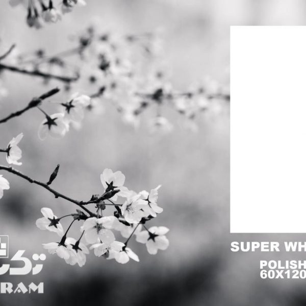 پرسلان سوپروایت  120*60 تکسرام کد 6116