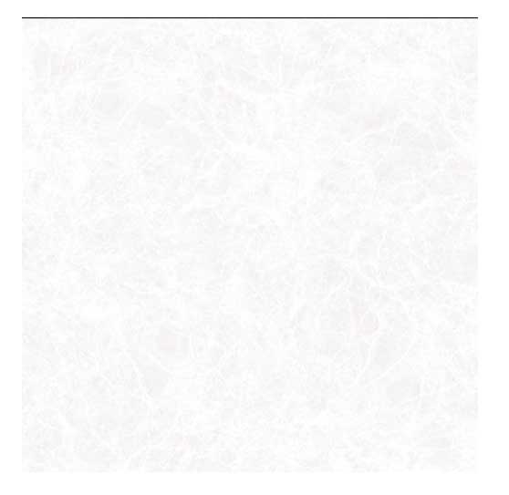 سرامیک تاپیک سفید 60*60 کد 6654